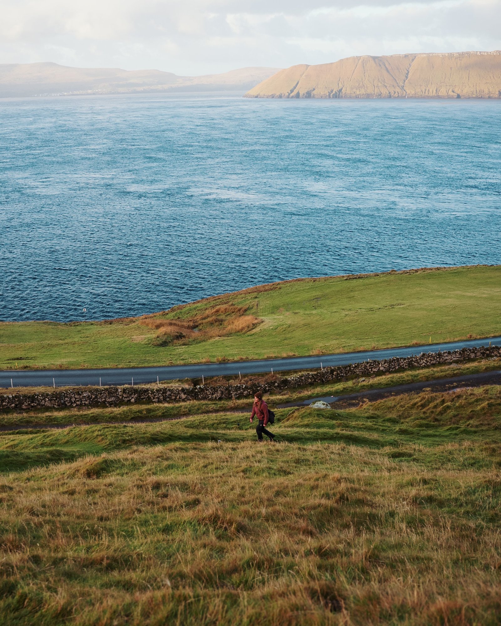 Fiordo e pascoli nelle Isole Faroe
